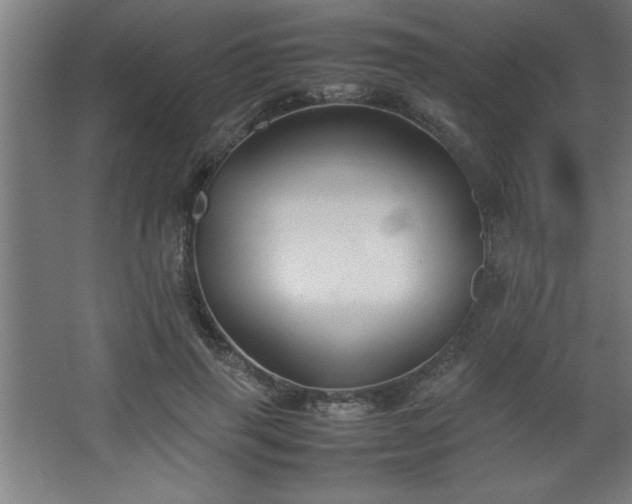 X0000067830645200604201216