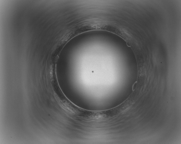 X0000067830646200604201216