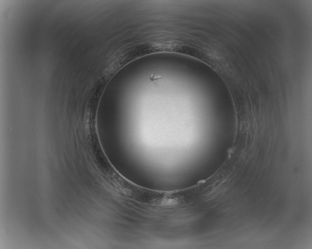 X0000067830647200604201216