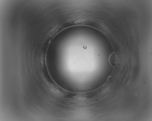 X0000067830648200604201216