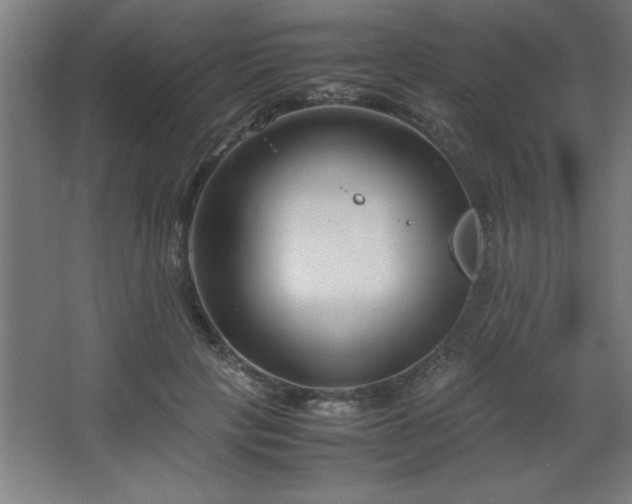 X0000067830649200604201216