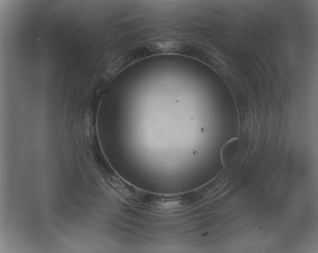 X0000067830651200604201217