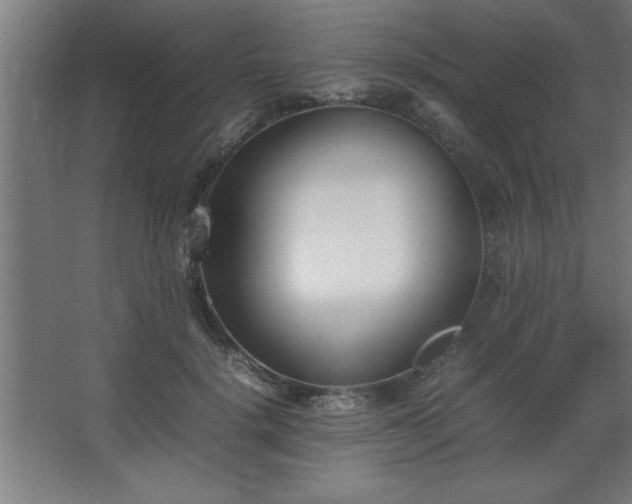 X0000067830652200604201217