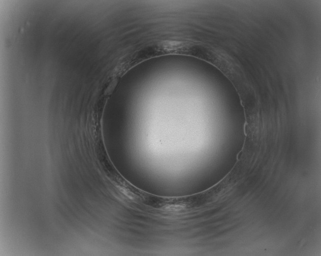 X0000067830653200604201217