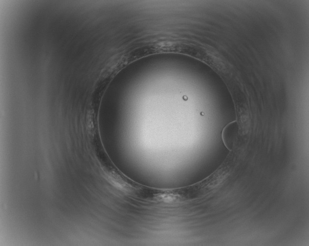 X0000067830654200604201217