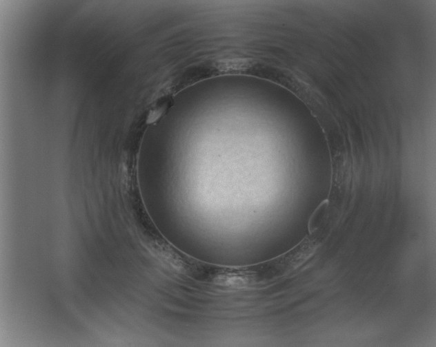 X0000067830655200604201217