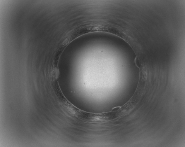 X0000067830657200604201217