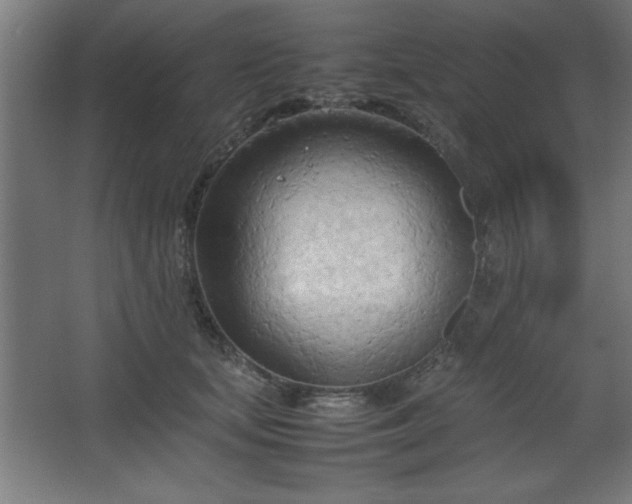 X0000067830659200604201217