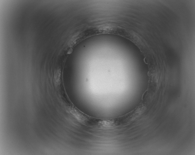 X0000067830660200604201217