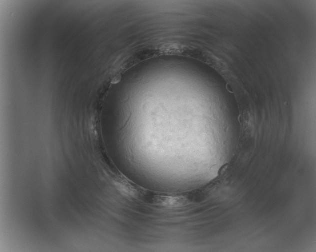 X0000067830663200604201217