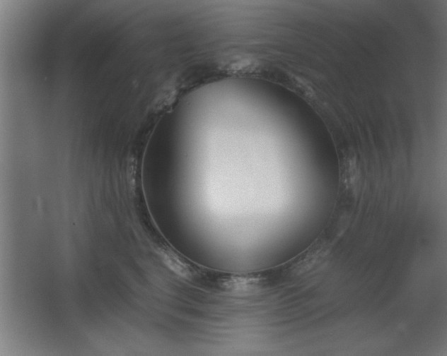 X0000067830664200604201217