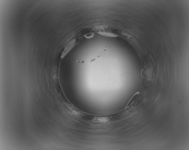 X0000067830665200604201217