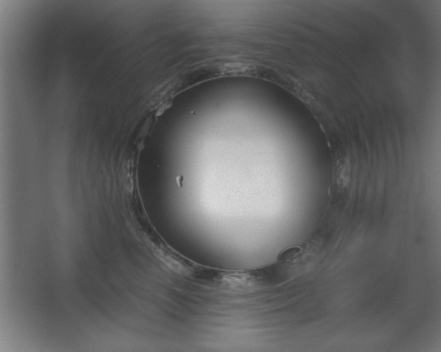 X0000067830666200604201217