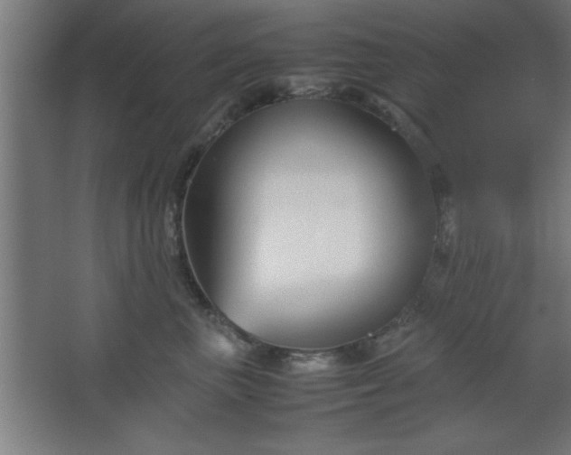 X0000067830667200604201217