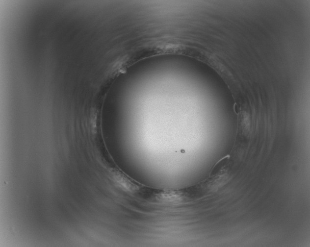 X0000067830668200604201217