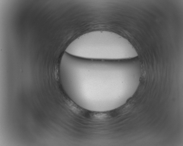 X0000067830669200604201217