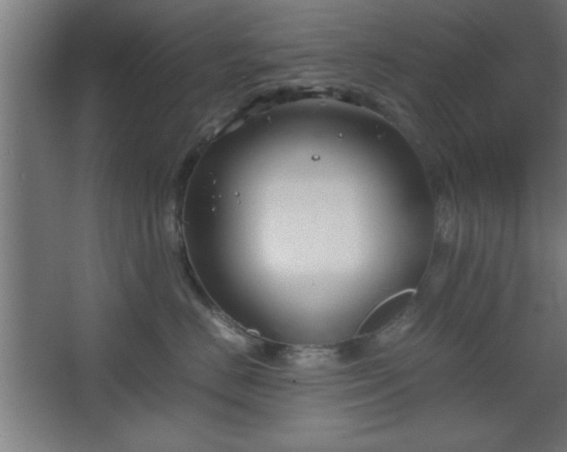 X0000067830670200604201217