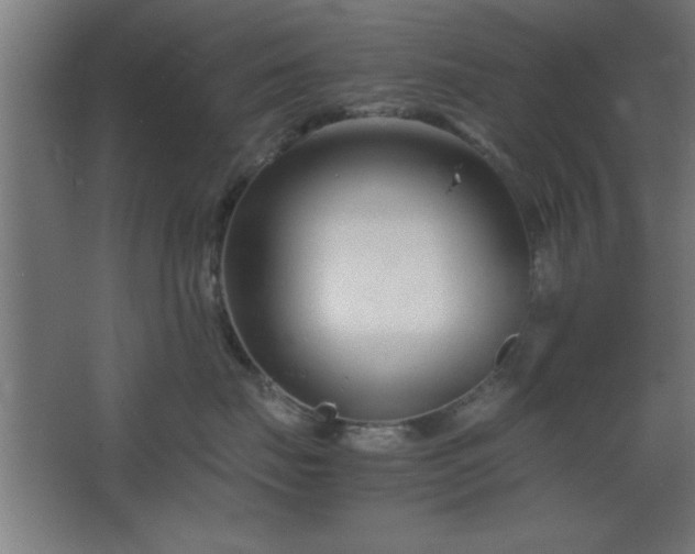 X0000067830671200604201217