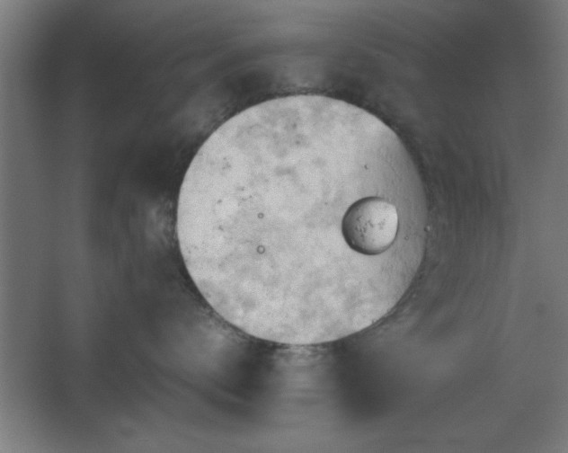 X0000067830672200604201217