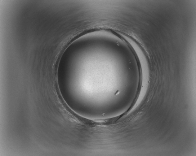 X0000067830673200604201216