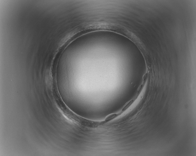 X0000067830674200604201216