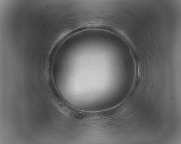 X0000067830675200604201216