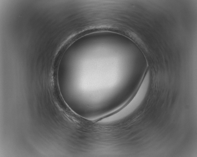 X0000067830676200604201216