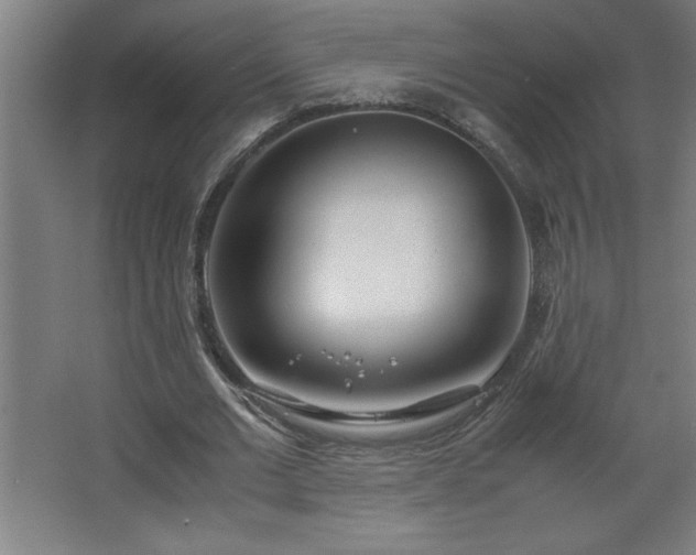 X0000067830677200604201216