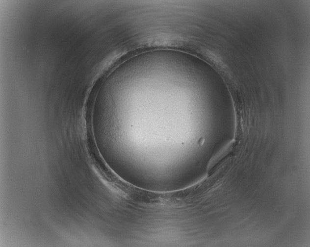 X0000067830678200604201216