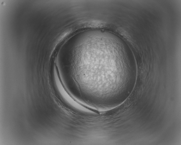 X0000067830679200604201216