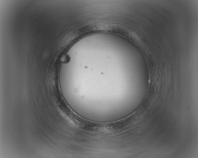 X0000067830683200604201216