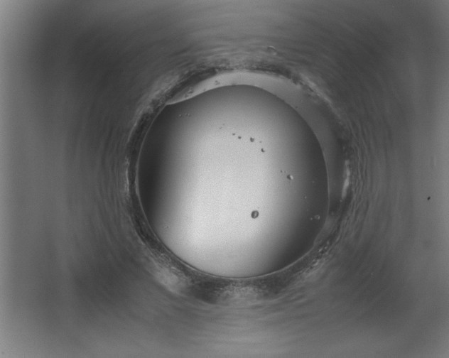 X0000067830685200604201216