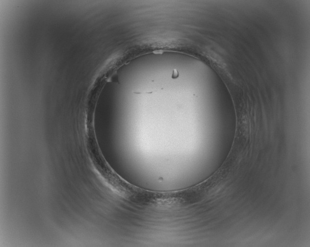 X0000067830686200604201216