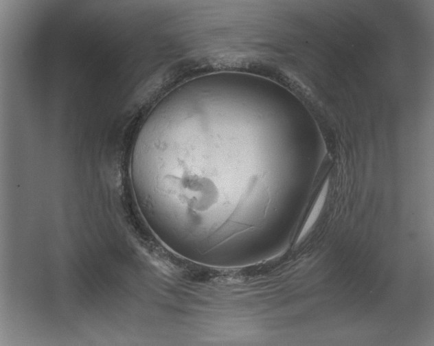 X0000067830687200604201216