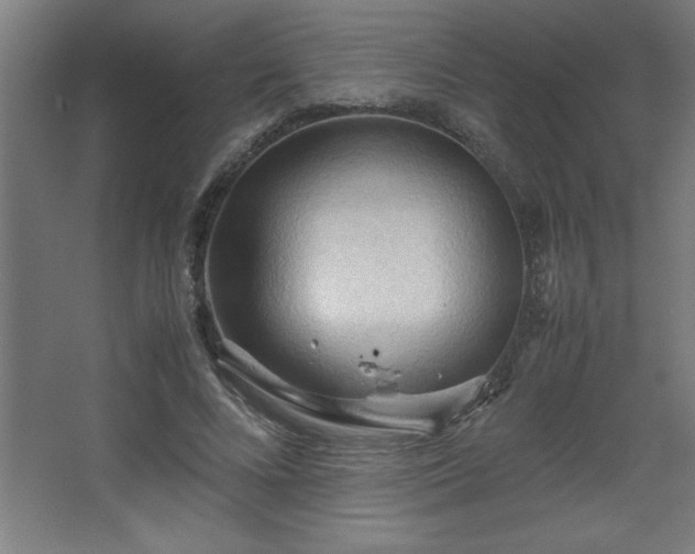 X0000067830688200604201216