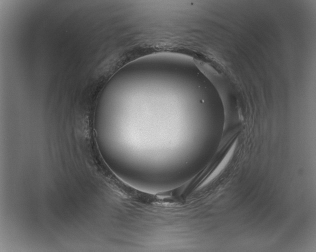 X0000067830689200604201216