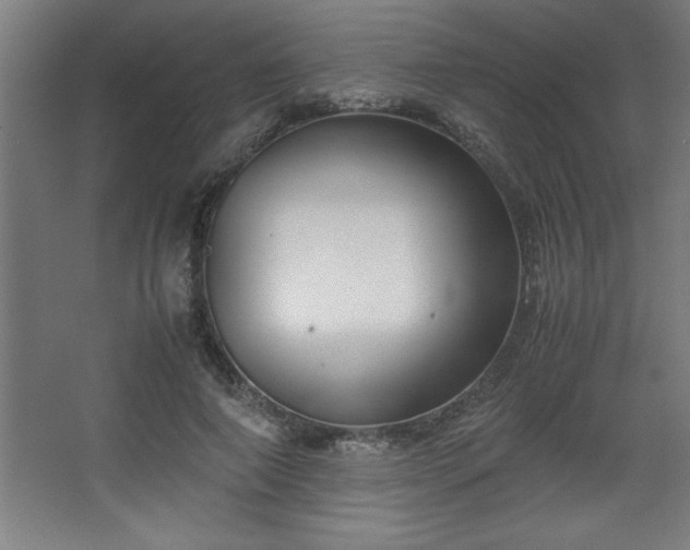 X0000067830690200604201216