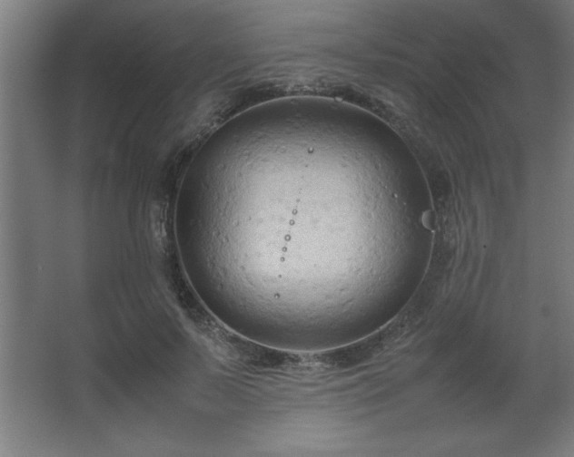 X0000067830695200604201216