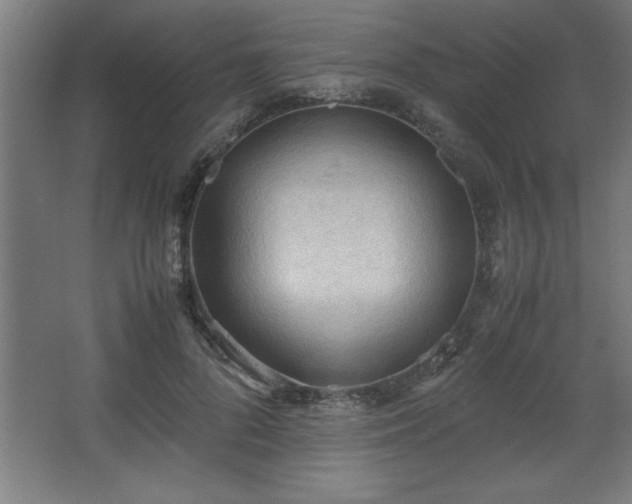 X0000067830696200604201216