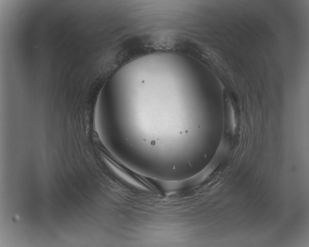 X0000067830697200604201216