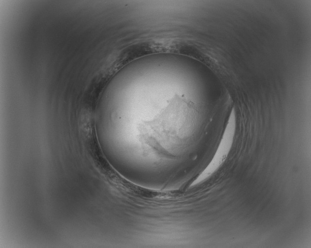 X0000067830699200604201216