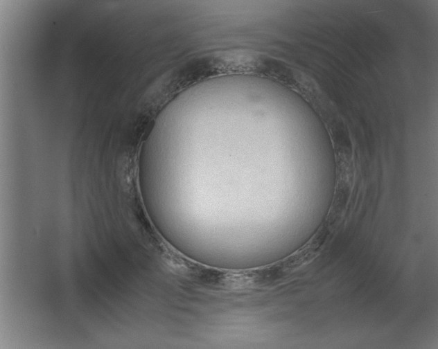 X0000067830701200604201216