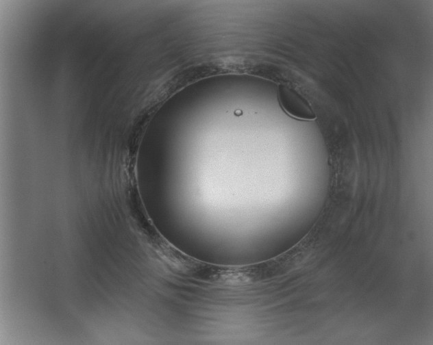 X0000067830702200604201216