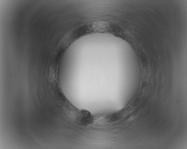 X0000067830705200604201216