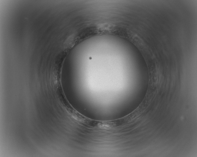 X0000067830706200604201215