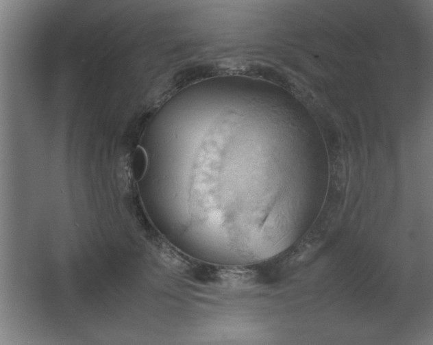 X0000067830707200604201215