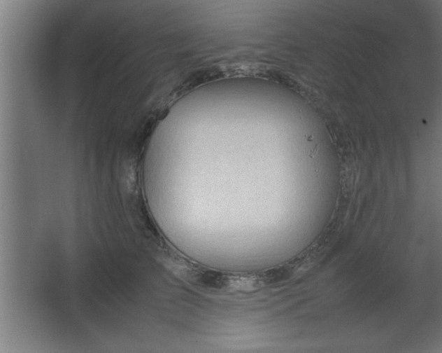 X0000067830709200604201215