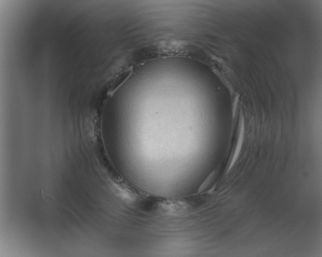 X0000067830712200604201215