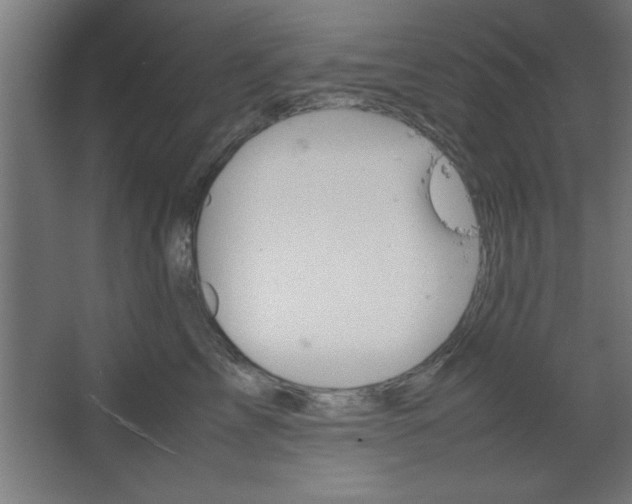 X0000067830713200604201215