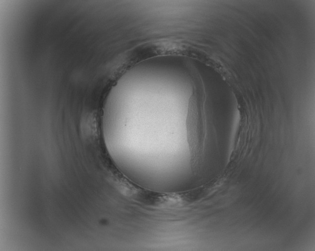 X0000067830715200604201215